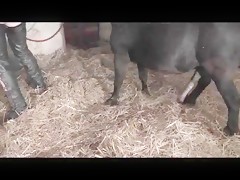 Threesome with sisters