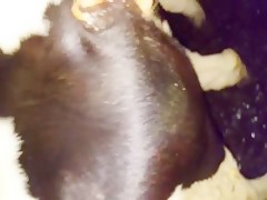 Momoko Tabata hairy pussy and cum on face