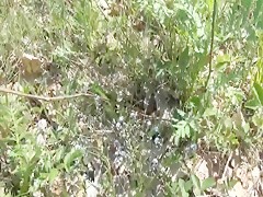 Video Casero de una chica EMO y su PERRO