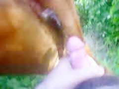 Thumb 17
