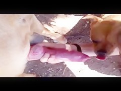 Thumb 16