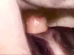 horse fucking - zoophilia