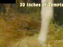 Young Japanese model is nailed hard in outdoor threesome