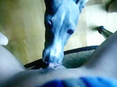 Thumb 6