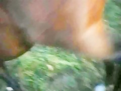 Total lubrication!!!