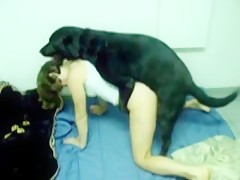 Huge doggy dick
