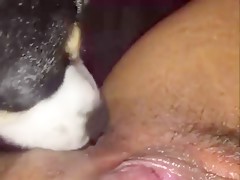 Caballo caliente