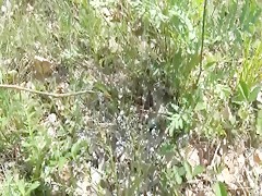 Tipo follando al perro