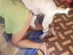 Carmen come cipote de caballo