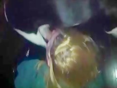 bailando con un perro