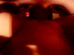 a dog with his couple