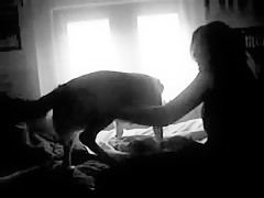 Tumbada aguarda al perro