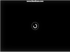 kichten threesome with dog