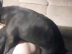horny couple and a dog
