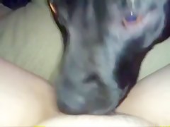 AOZ Yasmin Knot scene