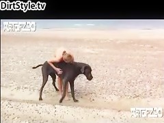 amateur dog sex